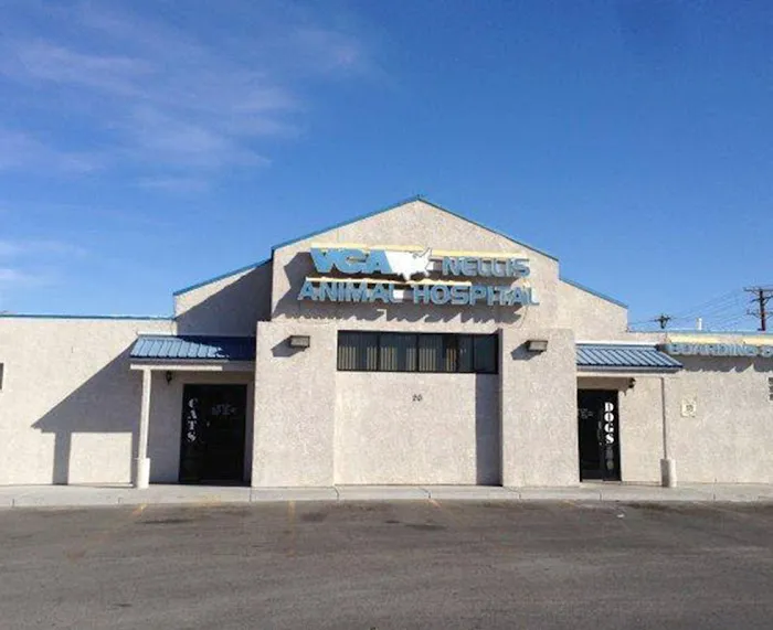 VCA Nellis Animal Hospital 10