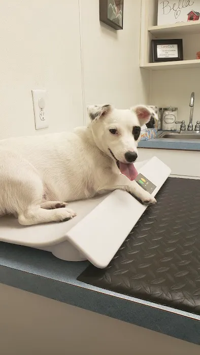 VCA Nellis Animal Hospital 2
