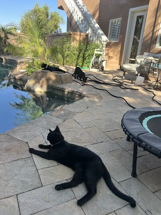 VCA Nellis Animal Hospital 3