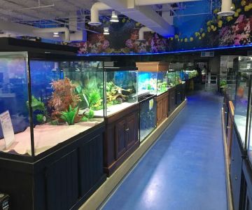 Aquarium Adventure Columbus