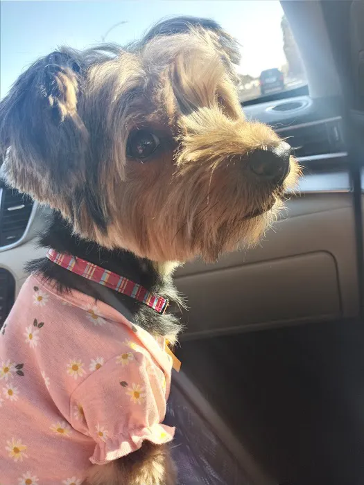 Lake Mead Animal Hospital 5
