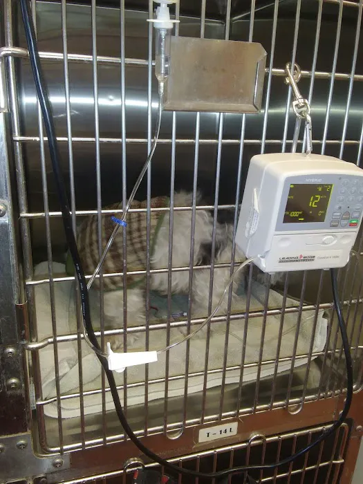 Lake Mead Animal Hospital 3