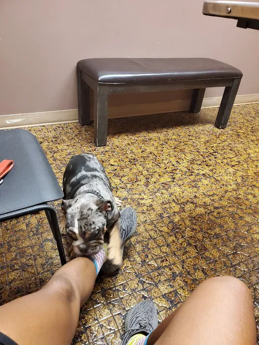 Lake Mead Animal Hospital 6