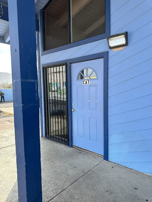 Northeast Animal Hospital 6