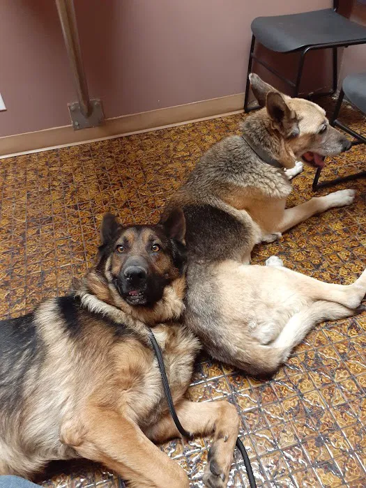 Northeast Animal Hospital 3