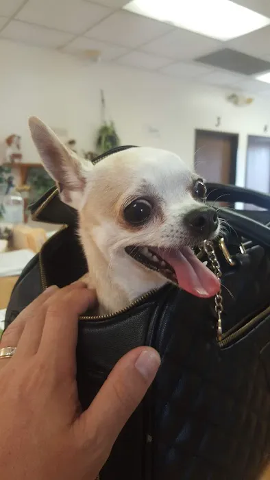 Animal House Veterinary Hospital 3