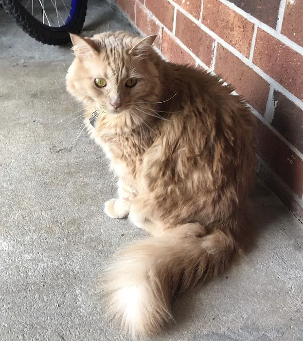 Gateway Animal Hospital 12
