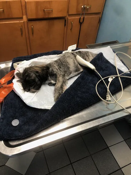 Gateway Animal Hospital 12
