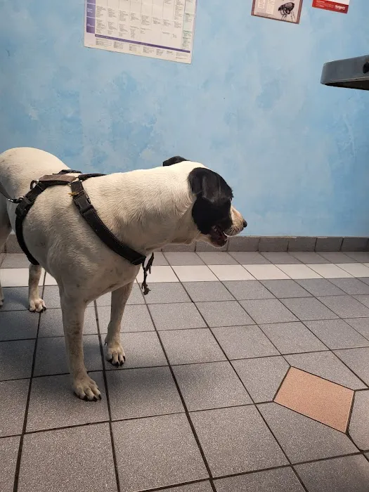 Gateway Animal Hospital 12