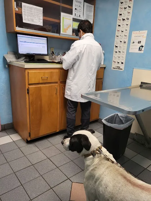 Gateway Animal Hospital 12