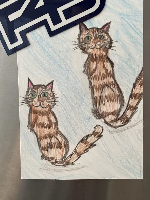 Florida Bengals Cat Breeder 7