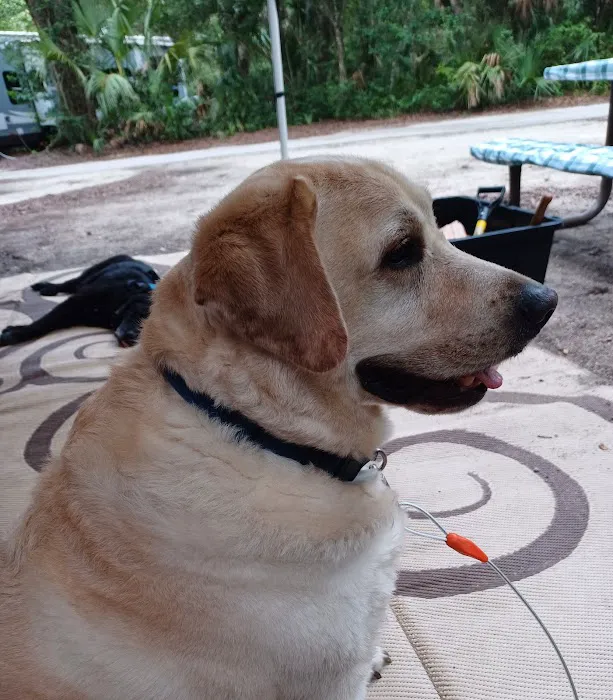 Coral Reef Animal Hospital 12