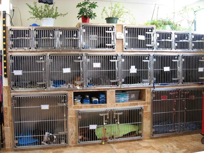 Coral Reef Animal Hospital 12