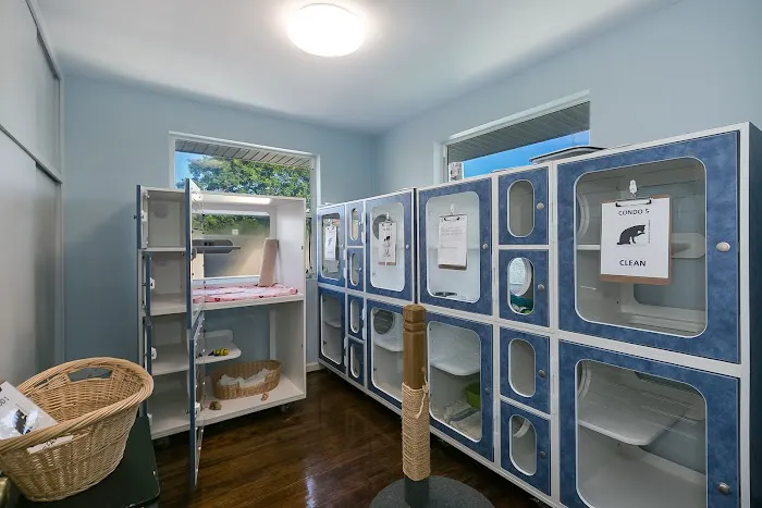 Oceanview Veterinary Hospital 12