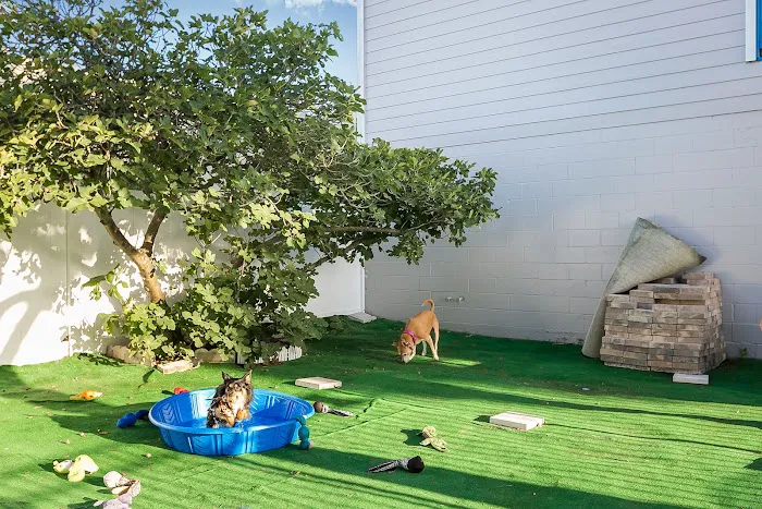 Oceanview Veterinary Hospital 12
