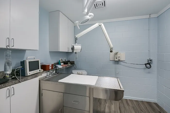 Oceanview Veterinary Hospital 12