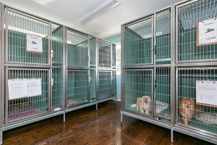 Oceanview Veterinary Hospital 12