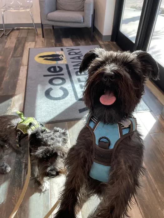 Cole Veterinary Clinic 12