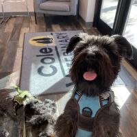 Cole Veterinary Clinic ico