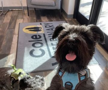 Cole Veterinary Clinic
