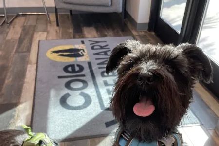 Cole Veterinary Clinic