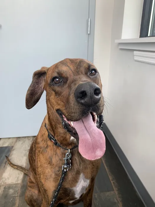Cole Veterinary Clinic 12