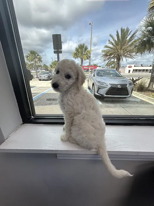 Cole Veterinary Clinic 12