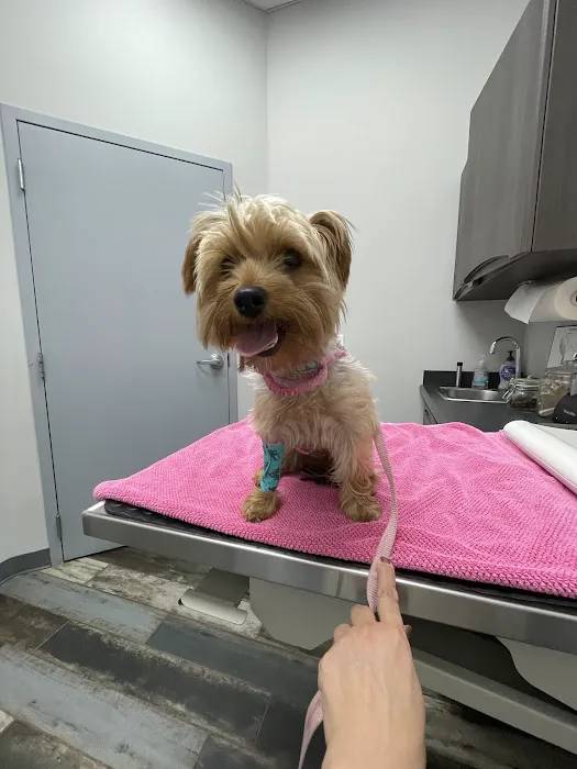 Cole Veterinary Clinic 12