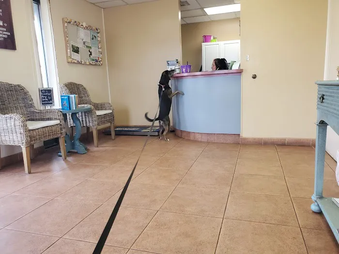 Shoreline Veterinary Hospital: Cooper Gregory H DVM 12