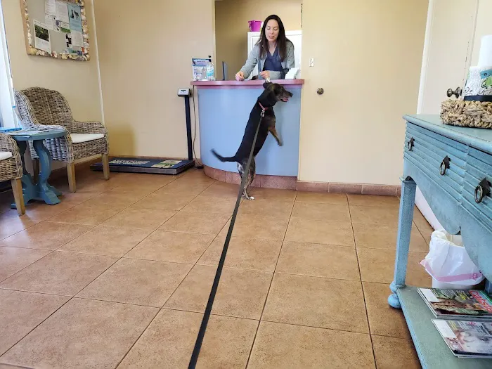 Shoreline Veterinary Hospital: Cooper Gregory H DVM 12