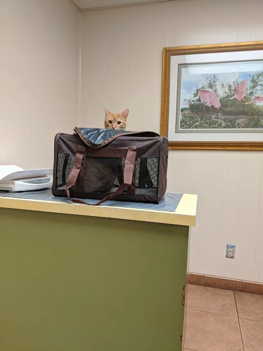 Shoreline Veterinary Hospital 12