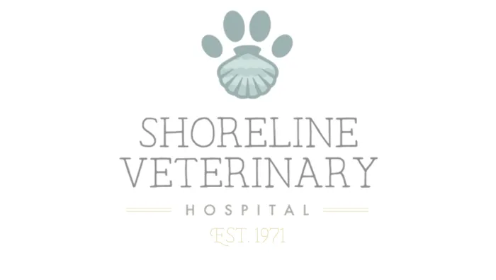 Shoreline Veterinary Hospital 12