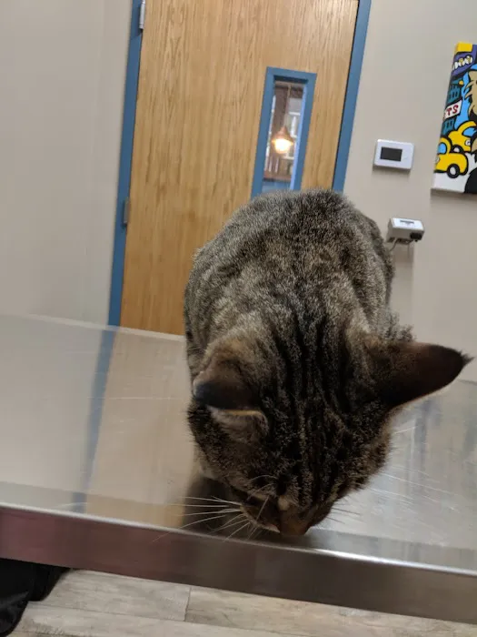 Greenwood Veterinary Care 9
