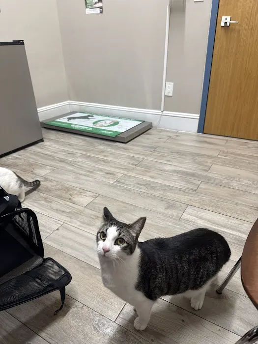 Greenwood Veterinary Care 7