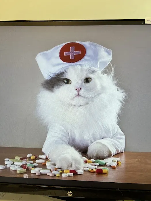 One Love Animal Hospital - Yorkville 4