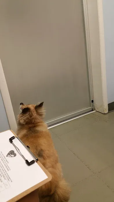 One Love Animal Hospital - Yorkville 2