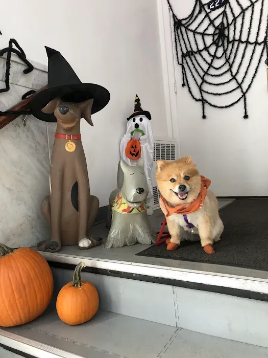 One Love Animal Hospital - Yorkville 3
