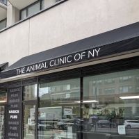 Animal Clinic of New York ico