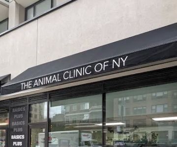 Animal Clinic of New York
