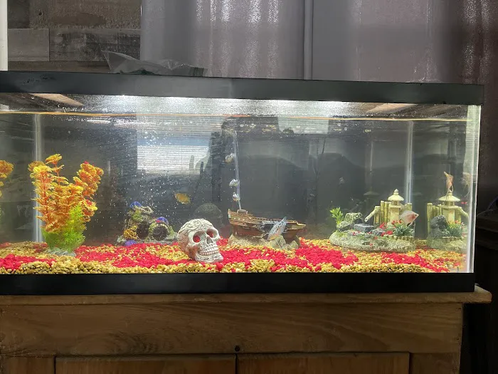 K C's Aquaworld 4
