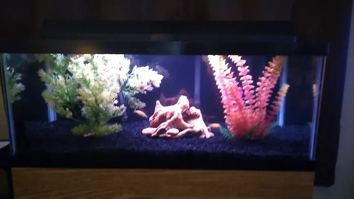 K C's Aquaworld 10