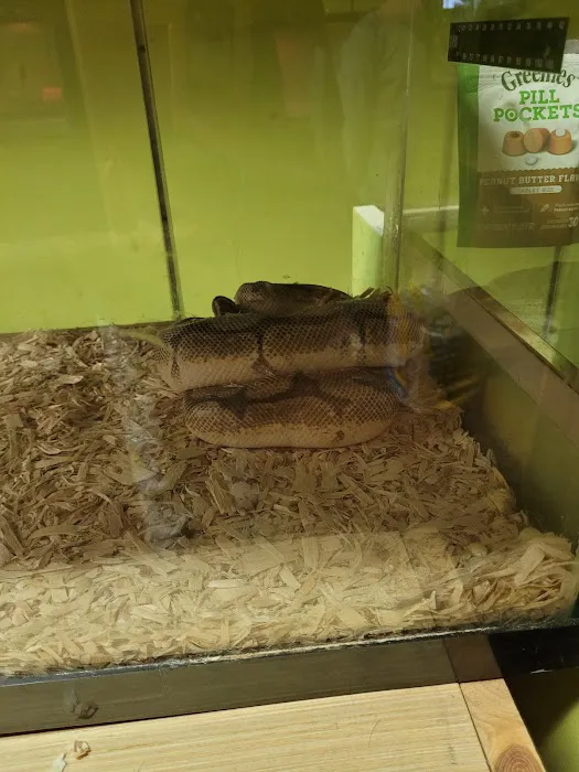 K C's Aquaworld 6