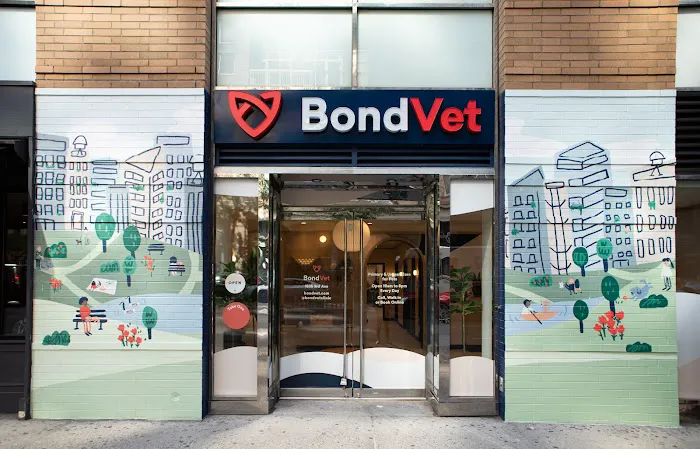 Bond Vet - Upper East Side at 86th Street 5