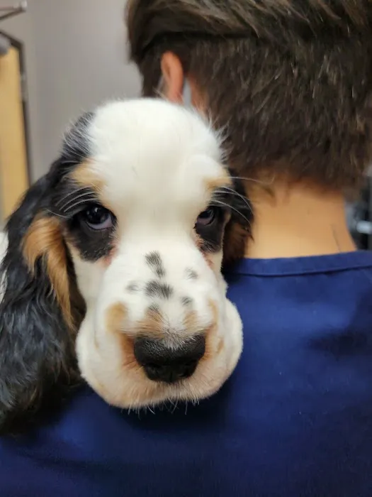 Hudson Animal Hospital 3