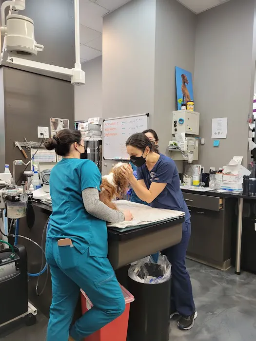 Hudson Animal Hospital 1