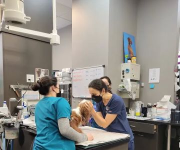 Hudson Animal Hospital