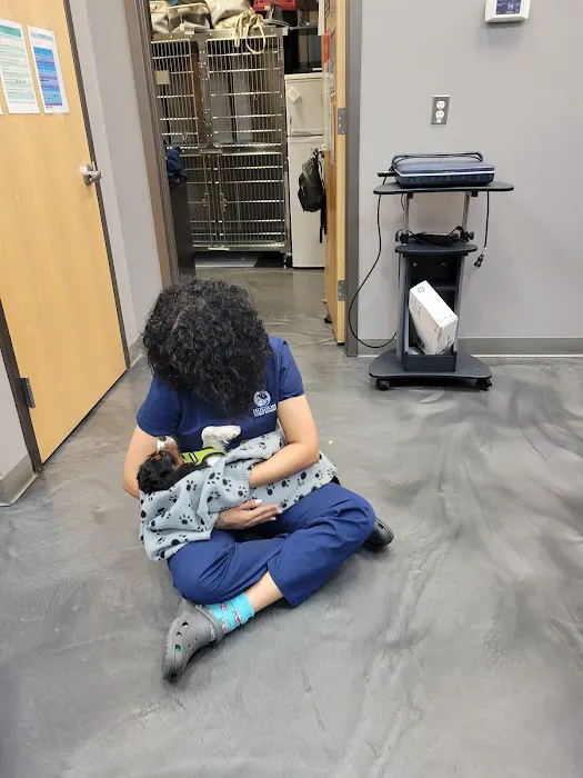 Hudson Animal Hospital 4