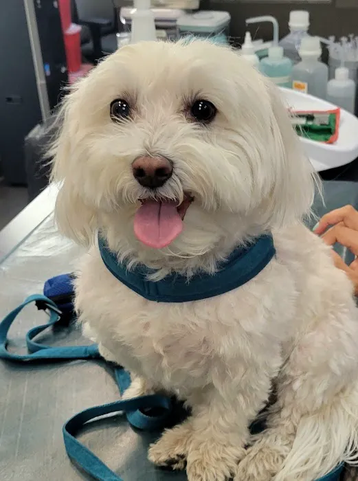 Hudson Animal Hospital 9