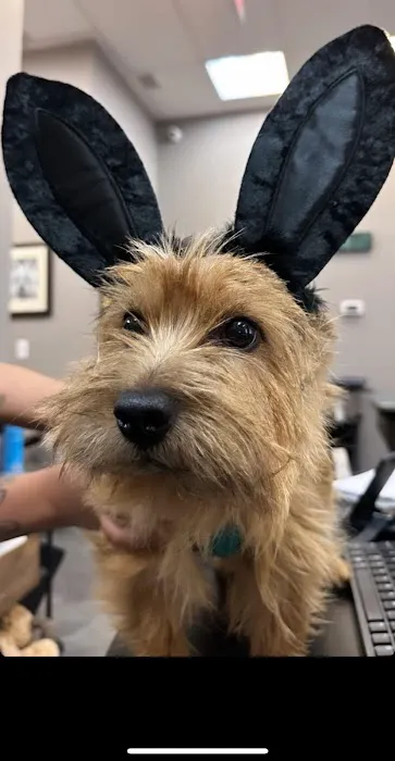 Hudson Animal Hospital 10