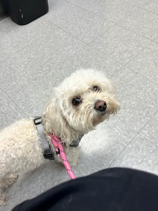 Lincoln Square Veterinary Hospital 6